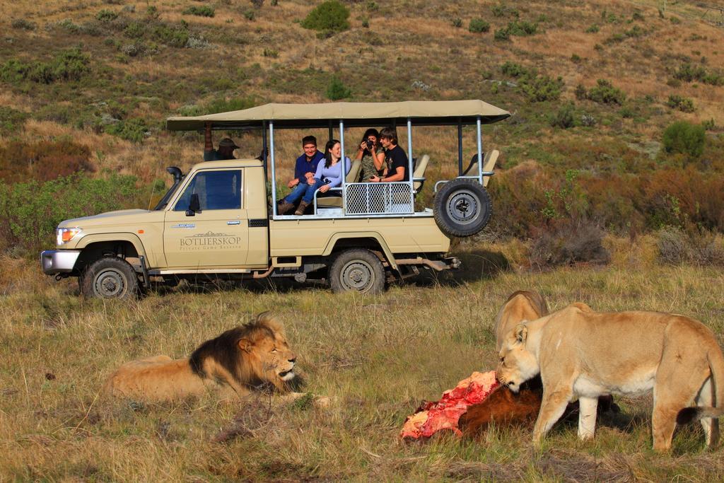 Botlierskop Private Game Reserve Reebok Eksteriør billede