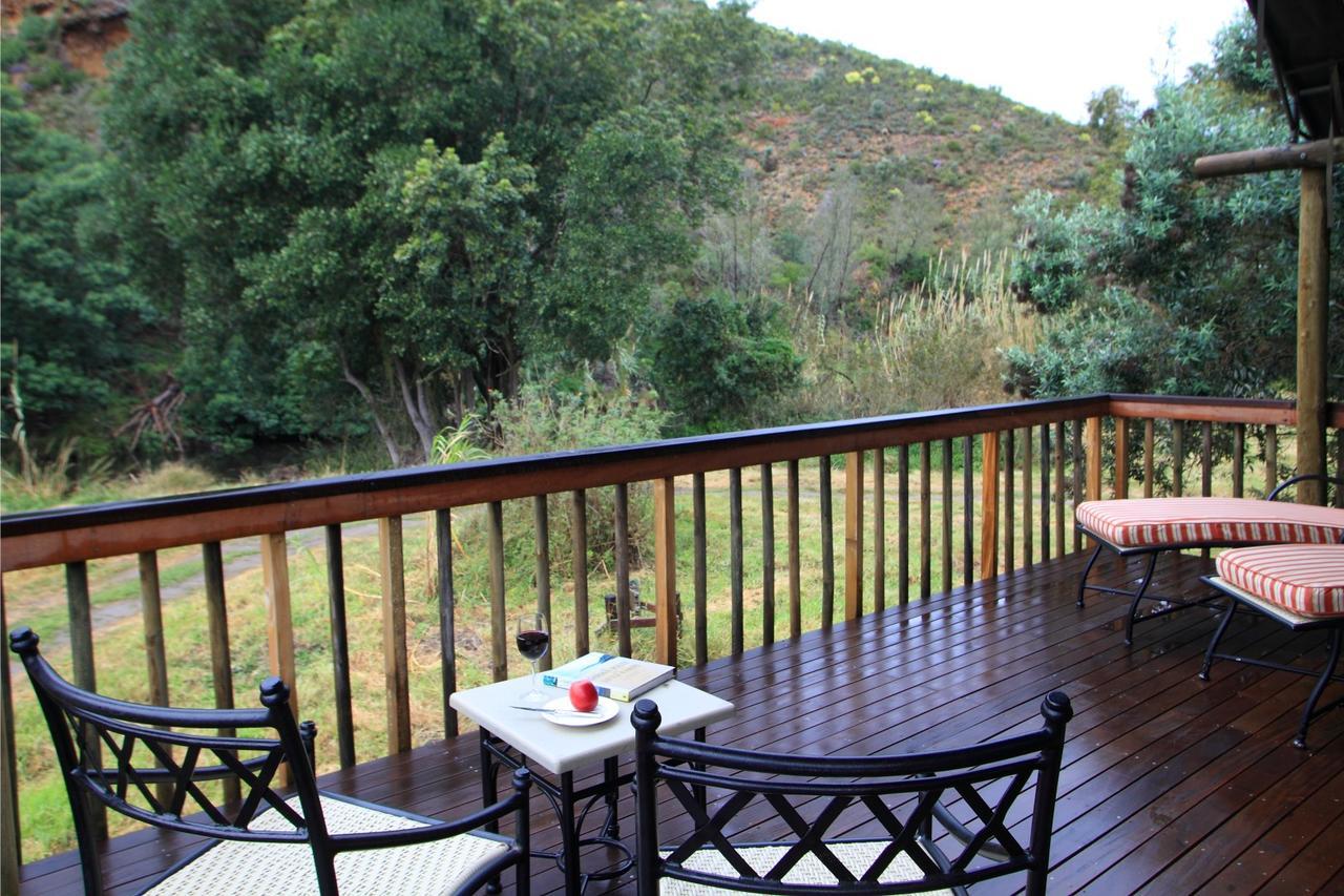 Botlierskop Private Game Reserve Reebok Eksteriør billede